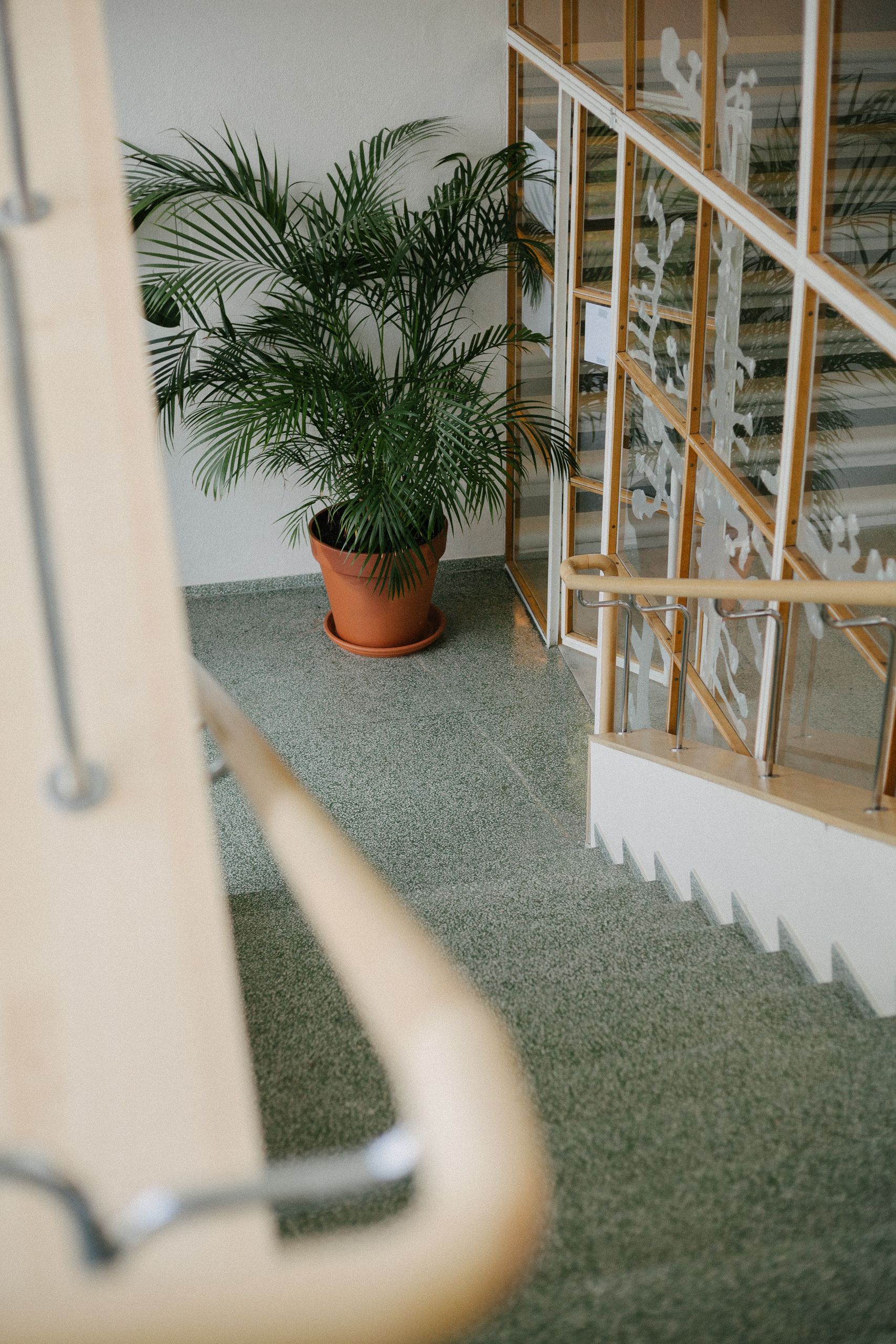 Gerade Treppe im Wohnhaus als Kostenfaktor für einen Treppenlift